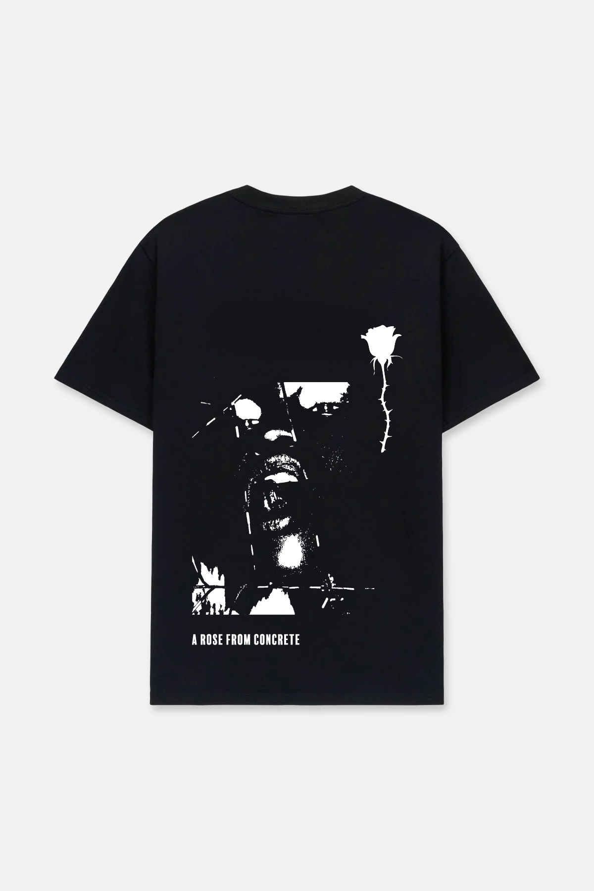 LIAM SHORT SLEEVE TEE | BLACK ROSE