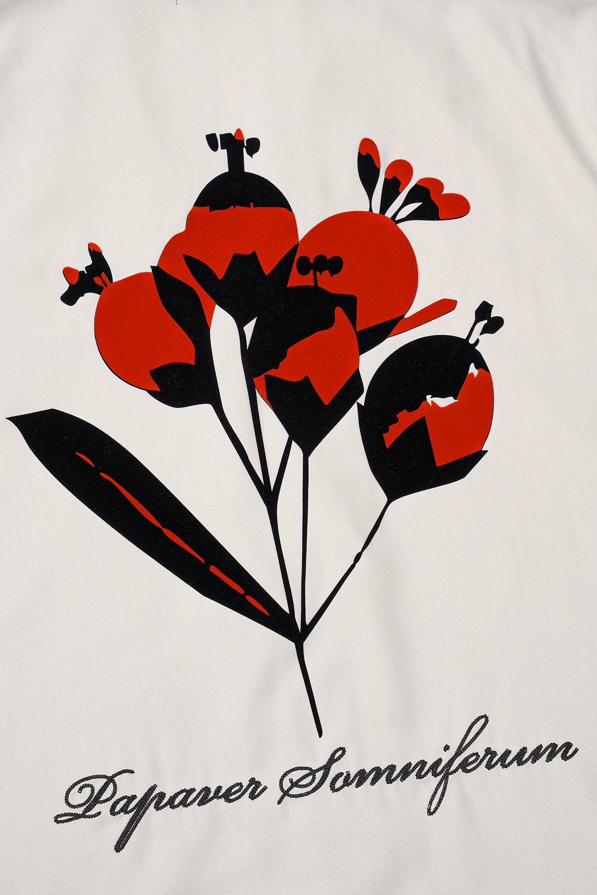Beige Nathan Short Sleeve Shirt - Red and Black Poppy Print Close-Up Detail | RTA