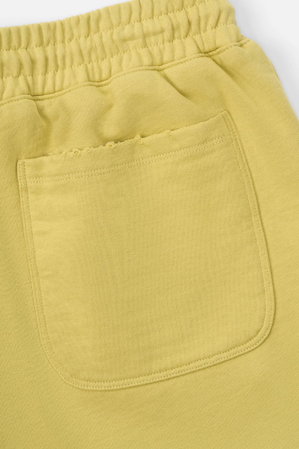 OWEN SWEATPANT | SAGE YELLOW COLLEGIATE